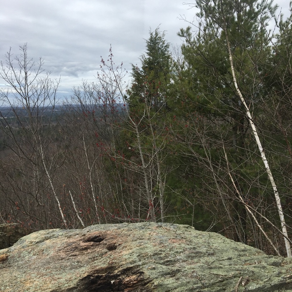 Meet your Posher, Deanna